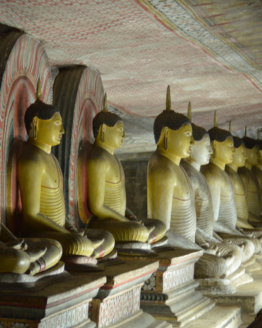 Dambulla Dambulla